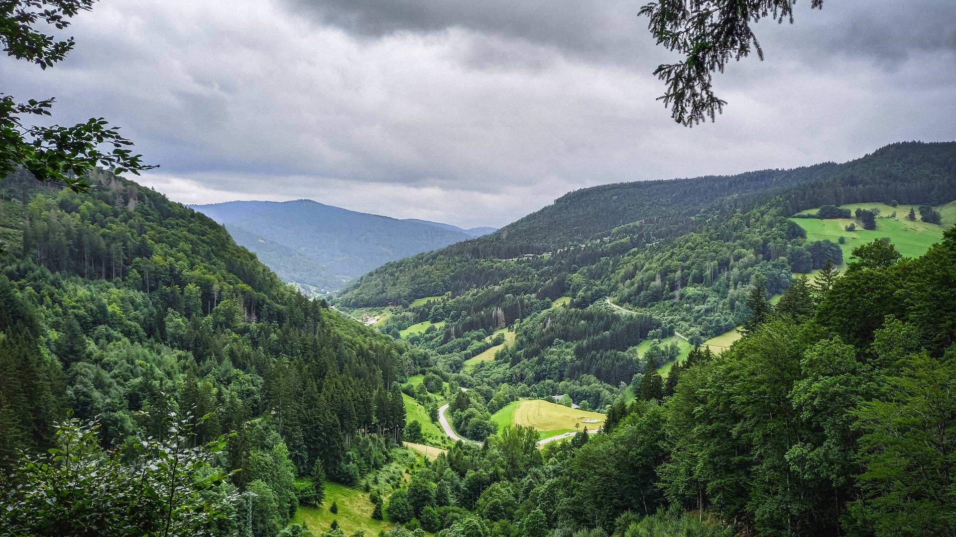 Urlaub im Schwarzwald - Ausblick auf den Südschwarzwald